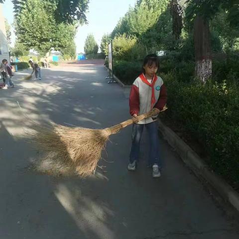 打扫卫生报道(4)