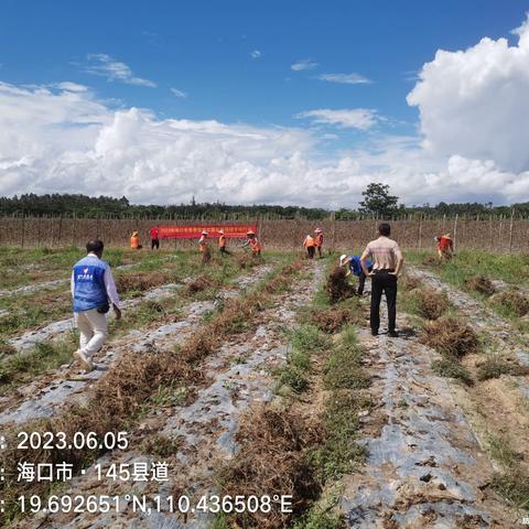 琼山区举办2023年农膜回收现场培训会