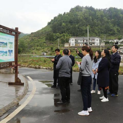 中央和国家机关党校春季学期处级干部进修班学员到进化镇开展调研工作