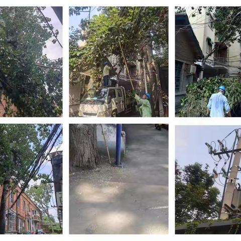 【自由南社区党委|平安法治星】清理树障隐患 保障居民安全