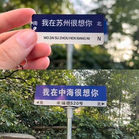 海悦花园一区5月份周报