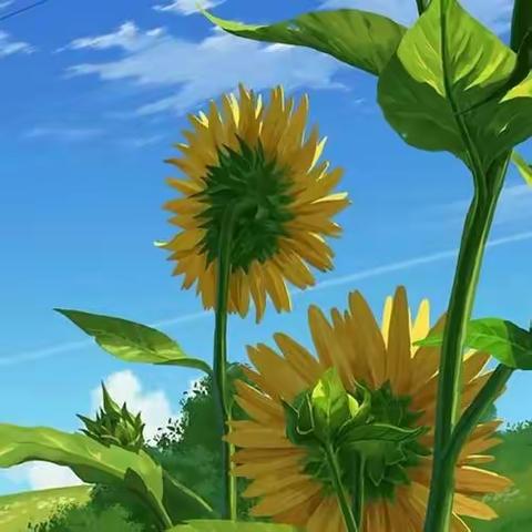 海悦花园一区六月份周报