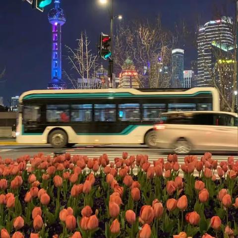 海悦花园一区7月份周报