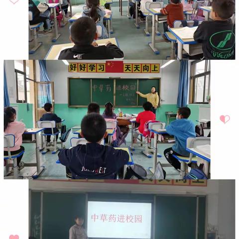 传承国粹， 本草飘香——北胡庄小学开展中医药文化进校园综合实践活动