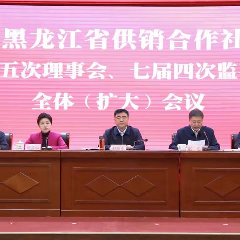 克服困难、勇担使命，为乡村振兴贡献兴安供销力量