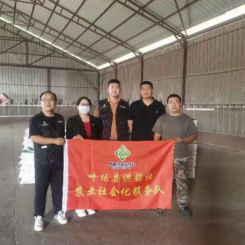 深度参与“一喷多促”，呼玛供销社为农服务再添新章