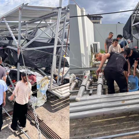 “防蚊”不停歇 雁祥社区持续推进登革热防控工作