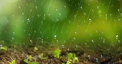 雨水至，万物复苏——西城实验小学幼儿园二十四节气雨水主题活动