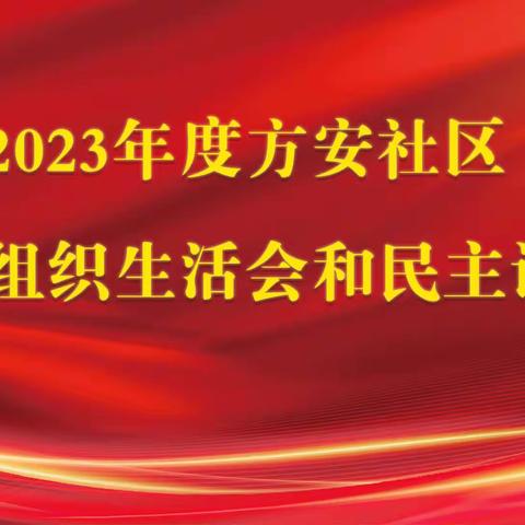 2023 年度方安社区专题组织生活会