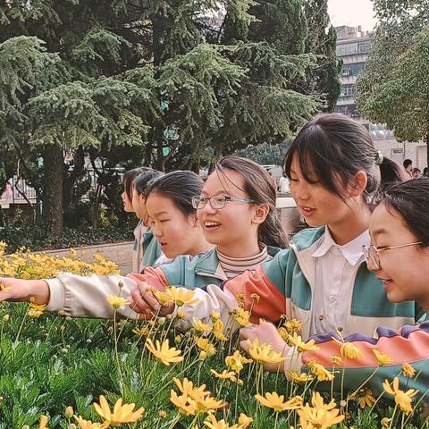 寻找春天，快乐同行！