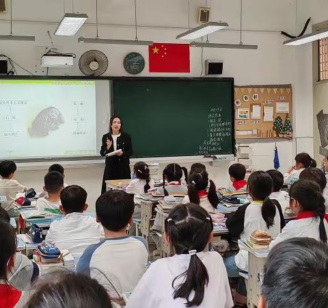 温岭城西：禁毒讲师王朦朦禁毒宣传进九龙小学