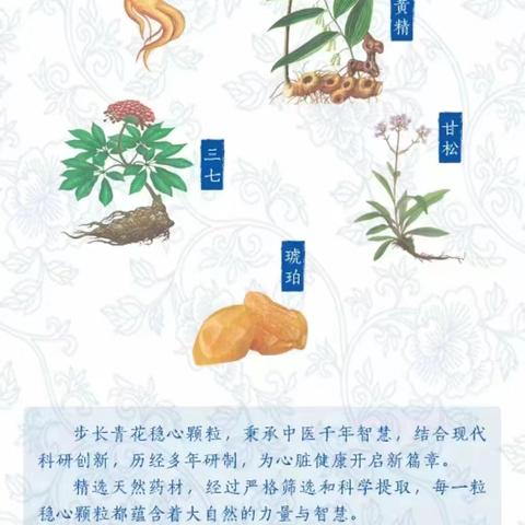 酒后心跳咚咚咚，青花瓷稳心颗粒帮你稳心，放心！！！开怀畅饮，就选稳心