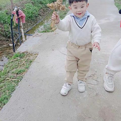 瑞安市玉海长虹花园托幼所托小班一周教学内容