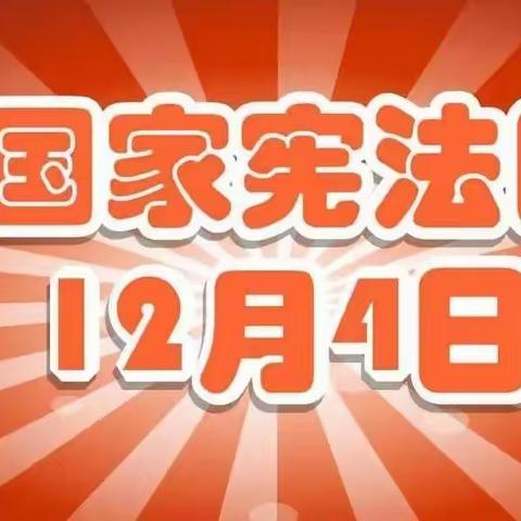 与法同行，伴我成长—南照九年制学校开展“国家宪法日”主题活动