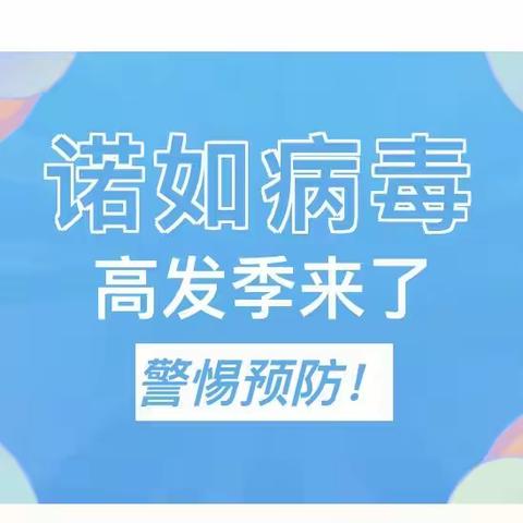 预防诺如病毒，呵护幼儿健康——关口镇中心幼儿园诺如病毒宣传