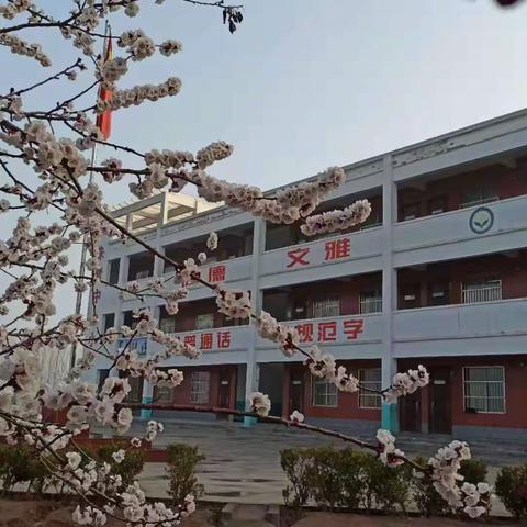 大展宏“兔”向未来——朱营中心小学开学典礼暨表彰大会