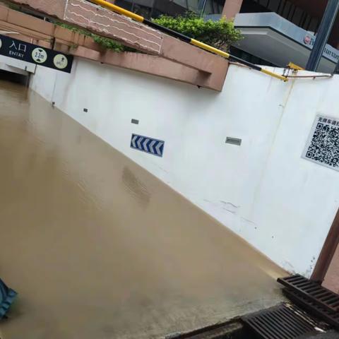 人民至上，不畏艰险，众志成城，共克水患