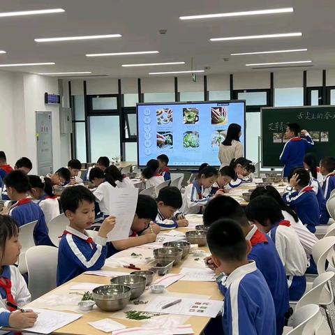 【中医药进校园】中医药+劳动教育，罗外小学师生解锁艾草青团新体验