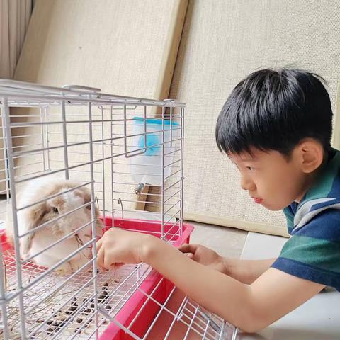 【健康促进校】春风启新程，萌兔待归家