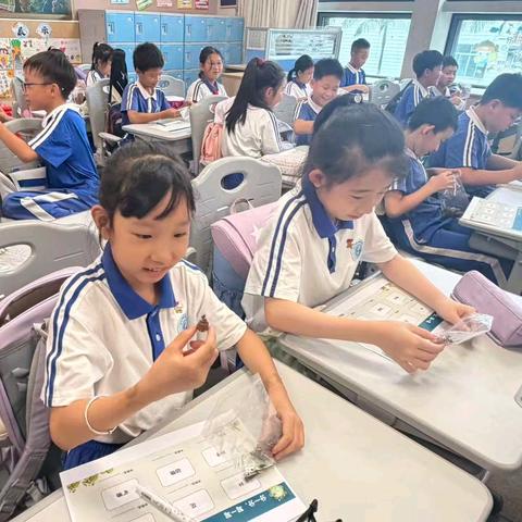 校院携手育童心，岐黄薪火进校园 ——罗湖外语小学“一班级一中医”特色课程活动