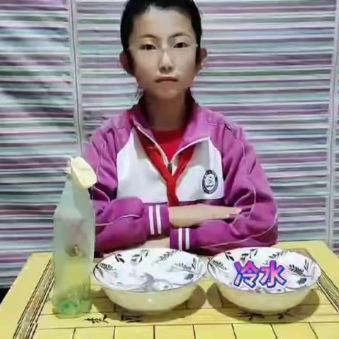 科学小实验，奇妙趣无限——甘谷县新兴小学五年级五班科学小实验