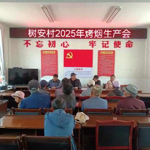 树安村2025年烤烟生产会