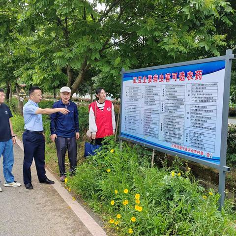 市包片工作组到建宁督导豇豆攻坚治理工作