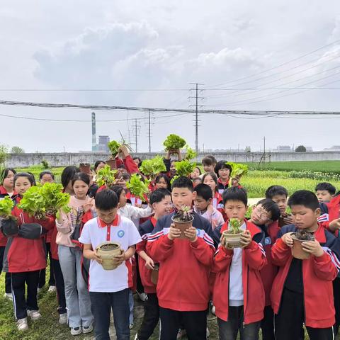 “庆丰收，促成长，收获绿色，幸福常驻” ——石寨铺镇第一小学劳动实践