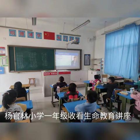 生命健康教育——杨官林小学健康教育活动纪实