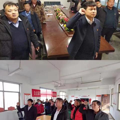 白元镇开展二月份主题党日活动
