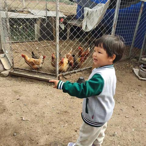 萌宝快乐的一天