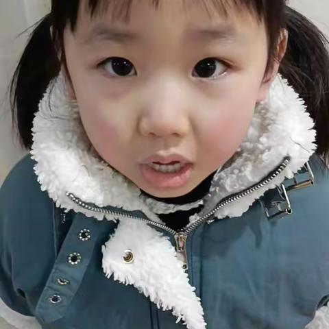 万霖花苑幼儿园大四班周五课程记录