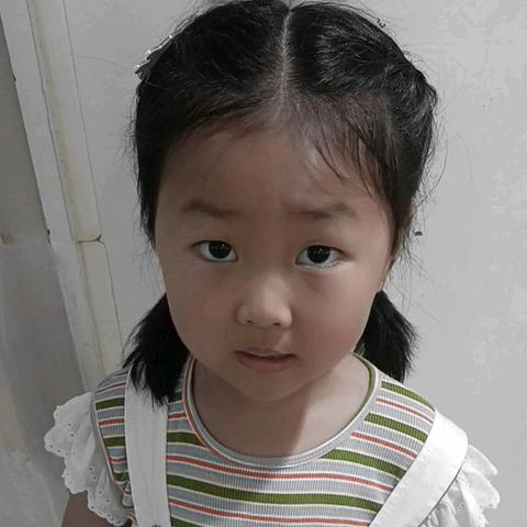 万霖花苑幼儿园周五课程记录