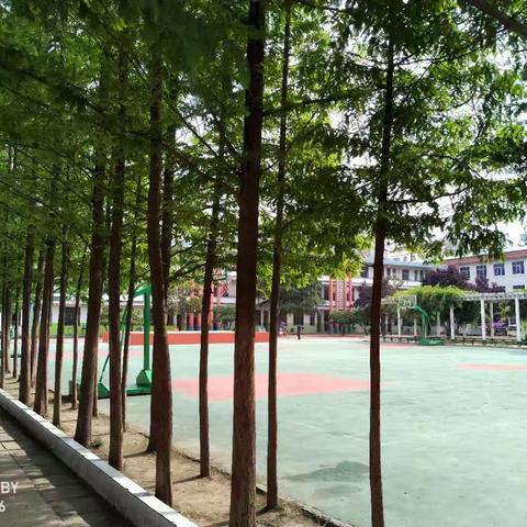 润物细无声 2023年“国培计划”送教下乡—泌阳县教师进修学校后勤科