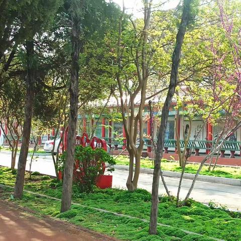 草树知春不久归，百般红紫斗芳菲——春日里的教师进修学校