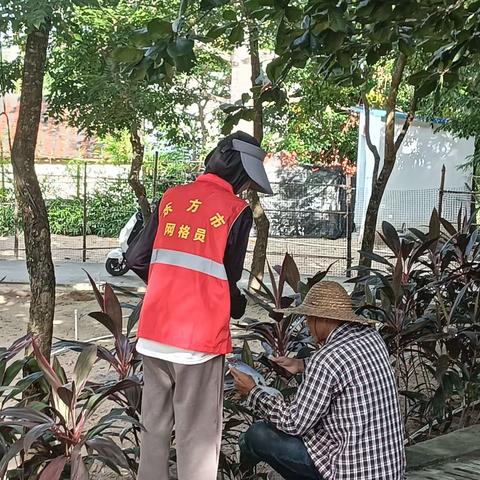 谨防不明信息，远离电信诈骗