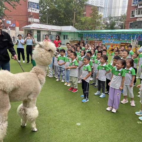 平安小区南社区零距离接触式动物科普活动