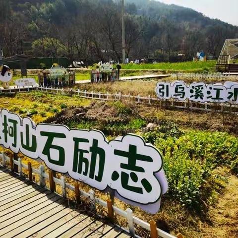 余东“一米菜园”种植实践基地劳动实践