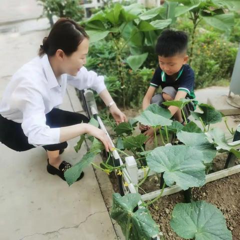 “园长妈妈和我有个约会”系列主题活动——《小小厨房 由我做“煮”》