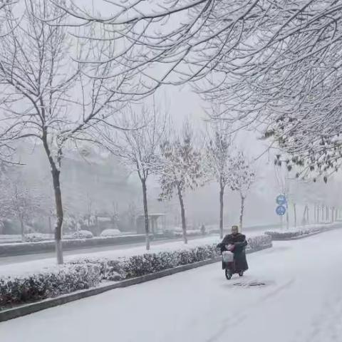 【实验小学出彩教育+志愿服务】寒冬初雪满黄龙 破冰除雪暖人心——实验小学少先队员走进社区清雪志愿服务活动纪实