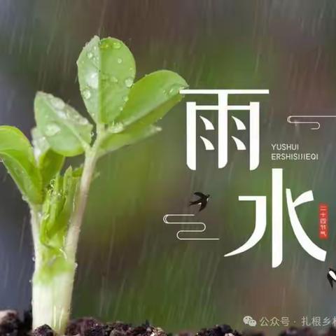 沙河市第五小学文化育人——雨水