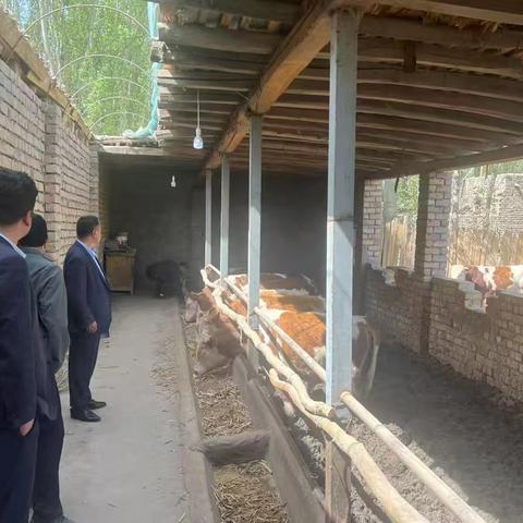 上门送贷，将金融活水精准滴灌至农户手中
