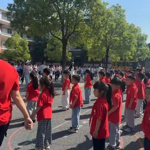 龙凤幼儿园小朋友桐木实验学校参观记