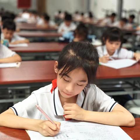 以赛促思 妙笔写数 ﻿ ——桐木实验学校开展数学竞赛活动