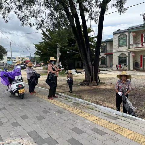 龙海村开展“清洁家园暨翻盆倒罐清积水”防蚊灭蚊整治和宣传活动