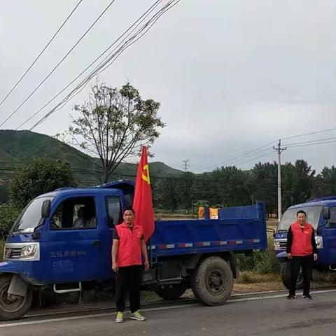 张坞：“三夏”麦田党旗飘，绘出夏粮好“丰”景