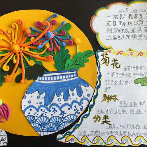 【灞桥教育·看见63中】助力“双减”，走进春天科普类之“我的植物朋友”——63中小学部学生特色作品展（四）