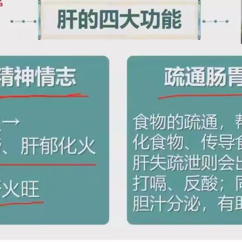 第一课  肝—人体气血的交通警察
