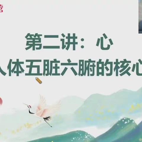 心—人体五庄六腑的核心