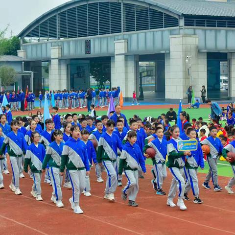 花开在当下，珍惜生命每一次体验——五年级五班第八周总结